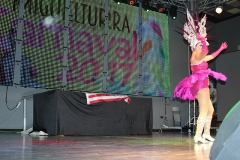 carnaval-miguelturra-museo-carnaval-2017