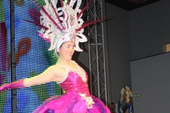 carnaval-miguelturra-museo-carnaval-2017