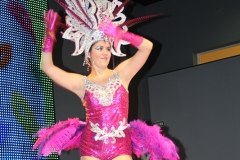 carnaval-miguelturra-museo-carnaval-2017