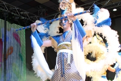 carnaval-miguelturra-museo-carnaval-2017