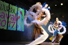 carnaval-miguelturra-museo-carnaval-2017
