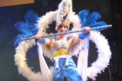 carnaval-miguelturra-museo-carnaval-2017