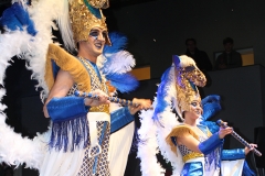 carnaval-miguelturra-museo-carnaval-2017
