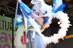 carnaval-miguelturra-museo-carnaval-2017