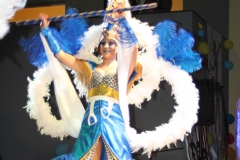 carnaval-miguelturra-museo-carnaval-2017