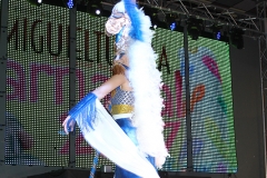 carnaval-miguelturra-museo-carnaval-2017
