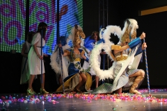 carnaval-miguelturra-museo-carnaval-2017