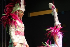 carnaval-miguelturra-museo-carnaval-2017