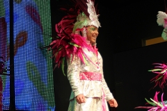 carnaval-miguelturra-museo-carnaval-2017