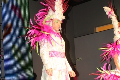 carnaval-miguelturra-museo-carnaval-2017