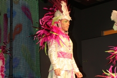 carnaval-miguelturra-museo-carnaval-2017