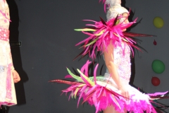 carnaval-miguelturra-museo-carnaval-2017