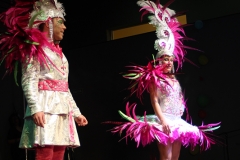 carnaval-miguelturra-museo-carnaval-2017