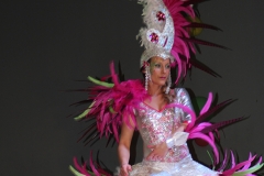 carnaval-miguelturra-museo-carnaval-2017