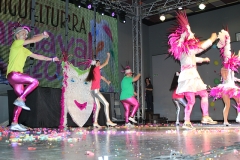 carnaval-miguelturra-museo-carnaval-2017