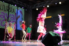 carnaval-miguelturra-museo-carnaval-2017