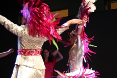 carnaval-miguelturra-museo-carnaval-2017