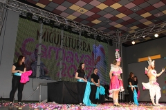 carnaval-miguelturra-museo-carnaval-2017