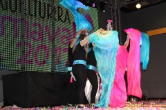 carnival-miguelturra-museum-2017