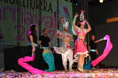 carnival-miguelturra-museum-2017