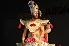 carnival-miguelturra-museum-2017