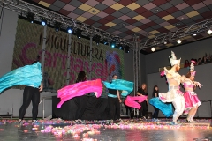 carnival-miguelturra-museum-2017