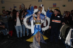 carnival-miguelturra-museum-2017