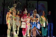 carnival-miguelturra-museum-2017