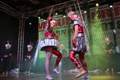 carnival-miguelturra-costumes-museum-2018