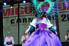 carnival-miguelturra-costumes-museum-2018