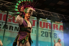 carnaval-miguelturra-trajes-museo-2018