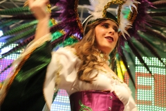 carnaval-miguelturra-trajes-museo-2018