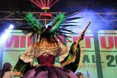 carnaval-miguelturra-trajes-museo-2018