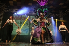 carnaval-miguelturra-trajes-museo-2018