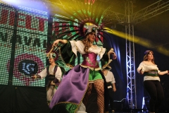 carnaval-miguelturra-trajes-museo-2018