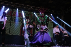 carnaval-miguelturra-trajes-museo-2018
