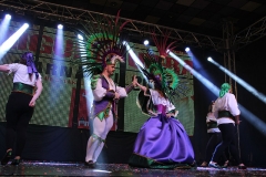 carnival-miguelturra-costumes-museum-2018