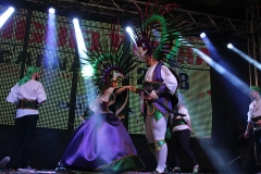 carnival-miguelturra-costumes-museum-2018