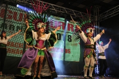 carnival-miguelturra-costumes-museum-2018