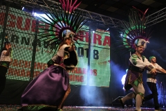 carnival-miguelturra-costumes-museum-2018