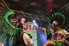 carnival-miguelturra-costumes-museum-2018