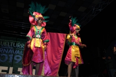 carnaval-miguelturra-trajes-museo-2019
