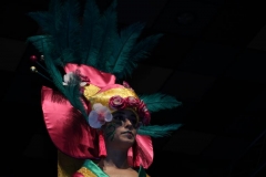 carnaval-miguelturra-trajes-museo-2019
