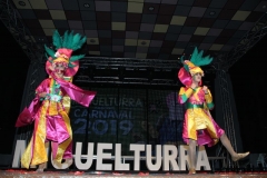 carnaval-miguelturra-trajes-museo-2019