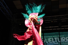 carnaval-miguelturra-trajes-museo-2019