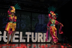 carnaval-miguelturra-trajes-museo-2019