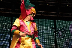carnaval-miguelturra-trajes-museo-2019