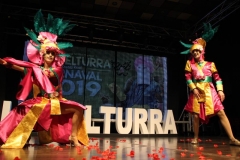 carnaval-miguelturra-trajes-museo-2019