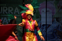 carnival-miguelturra-costumes-museum-2019