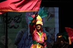 carnival-miguelturra-costumes-museum-2019